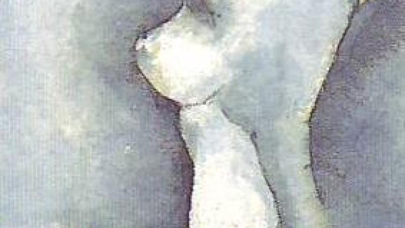 33. 'La rana y el gusano de la palmera' (spa)