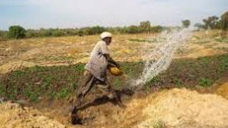 Conflictos de tierras en la región de Mopti (Mali)