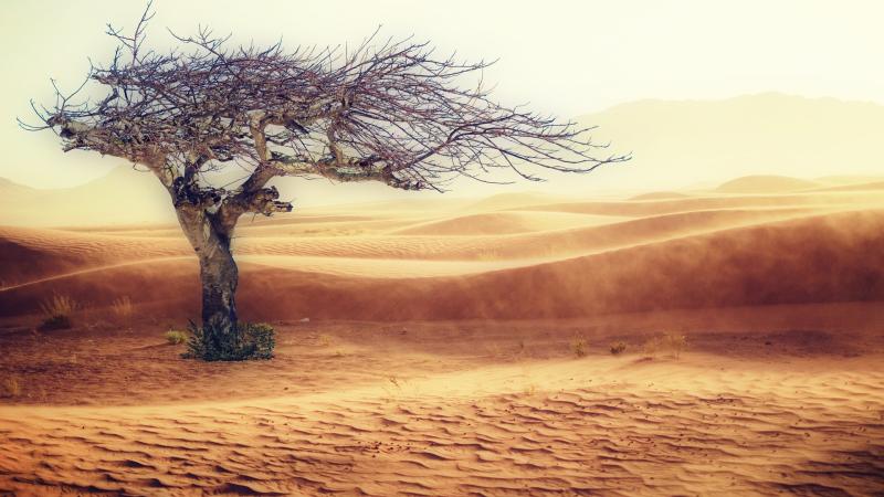 El cambio climático en el Sahel