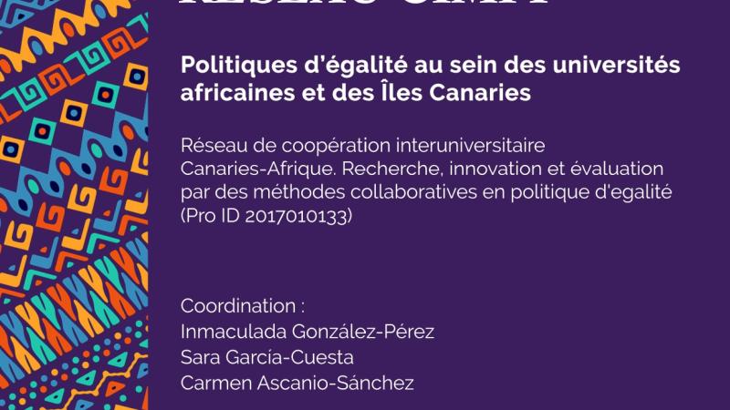 Diagnostic préliminaire RÉSEAU CIMPI