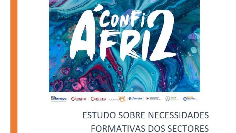 Informe general sobre las necesidades formativas de los sectores productivos de la economía africana (en portugués)