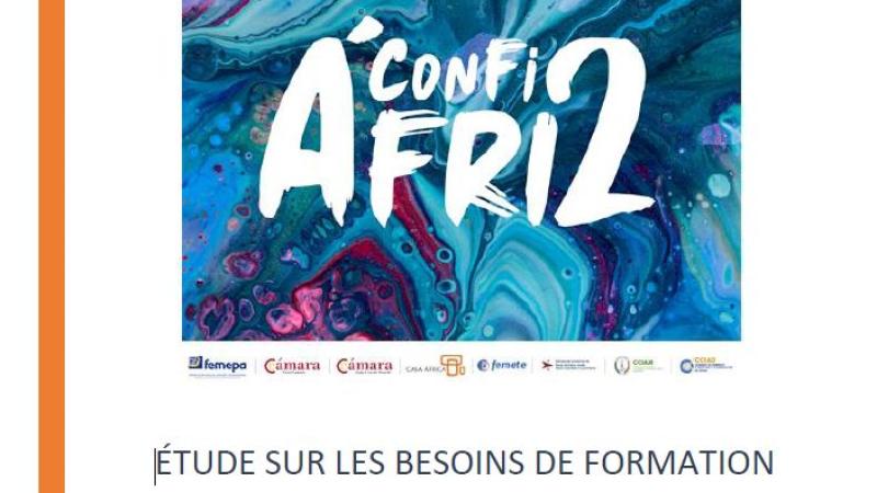 Informe general sobre las necesidades formativas de los sectores productivos de la economía africana (en francés)