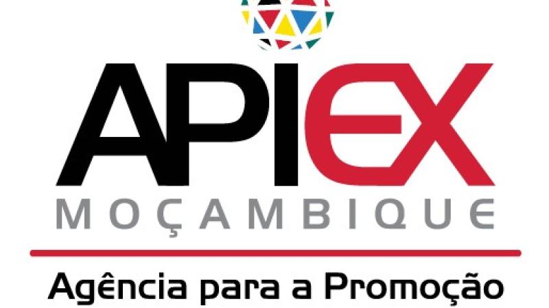 Agencia de Promoción de Inversiones y Exportaciones