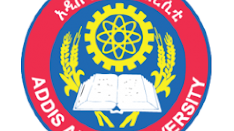 Addis Ababa University