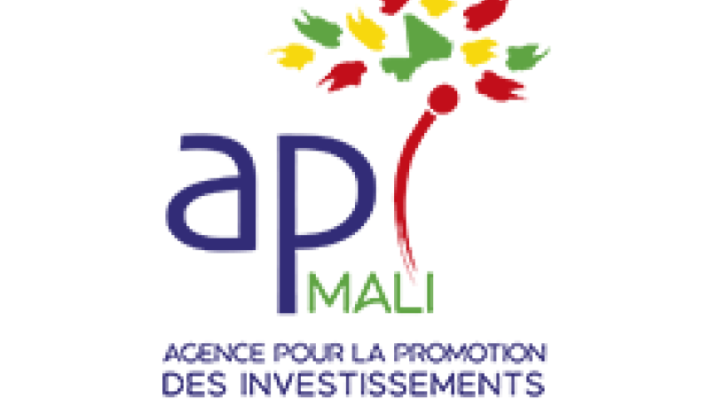 Agencia para la Promoción de las Inversiones en Malí (API-MALI)