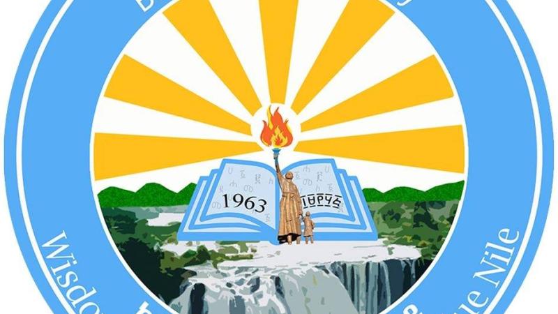 Bahir Dar University