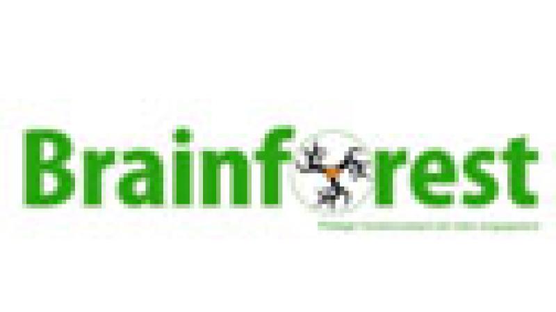 Brainforest