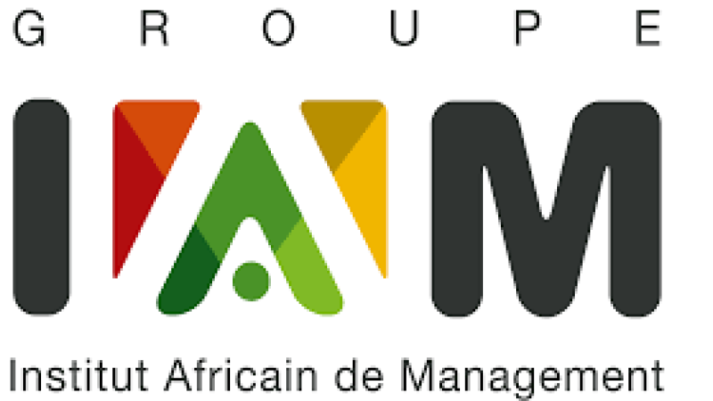 Institut Africain de Management (IAM)