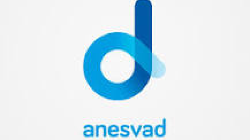Fundación Anesvad
