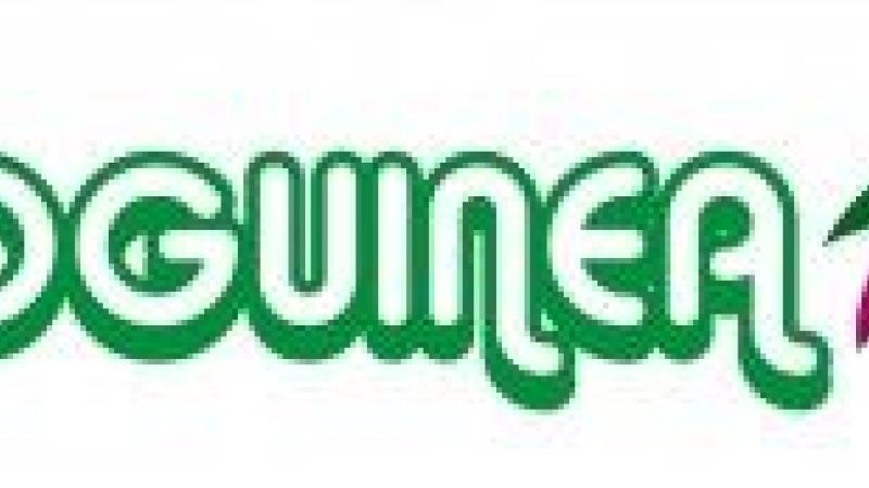 Ecoguinea