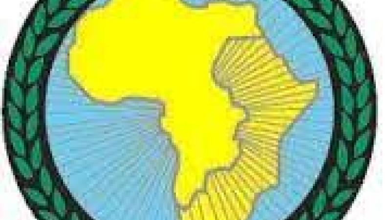 Organización para la Investigación en Ciencias Sociales en África Oriental y Meridional (OSSREA)