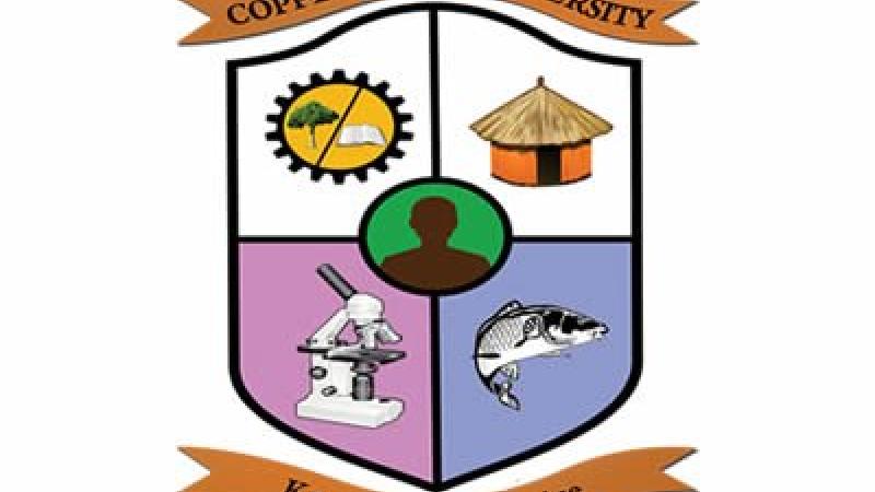The Copperbelt University