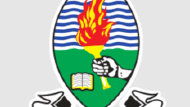 University of Dar es Salaam