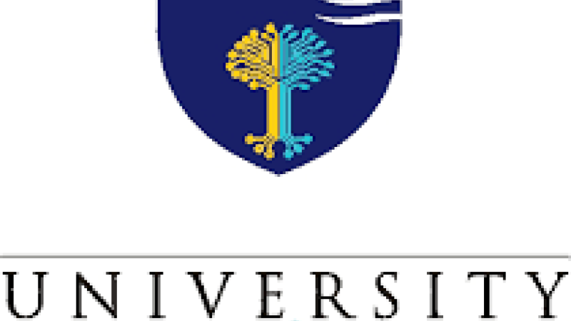 University of Technology, Mauritius