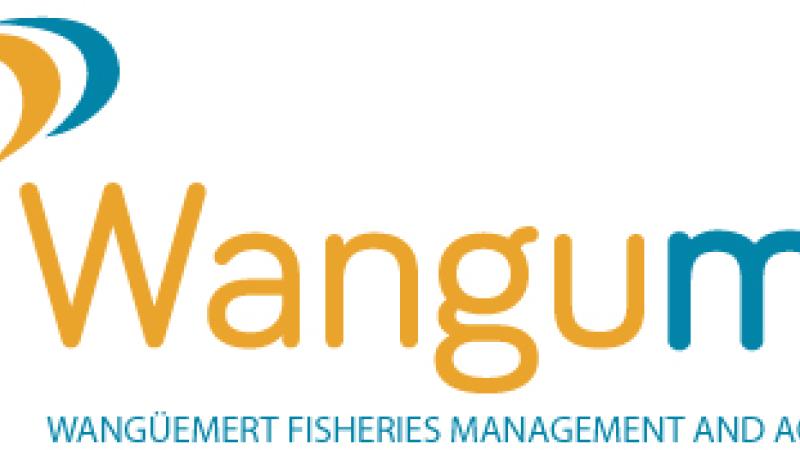 WANGUMAR SLU