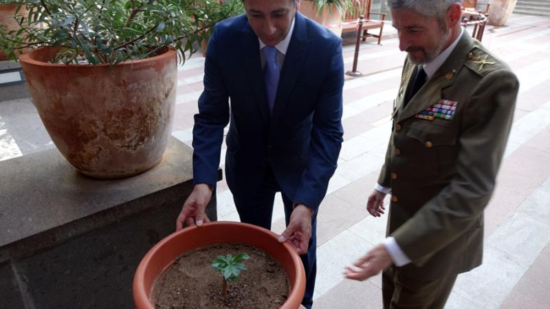 Un nuevo baobab para Casa África
