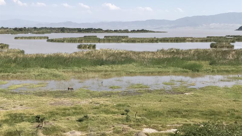 Lago Chamo, cerca de Arba Minch