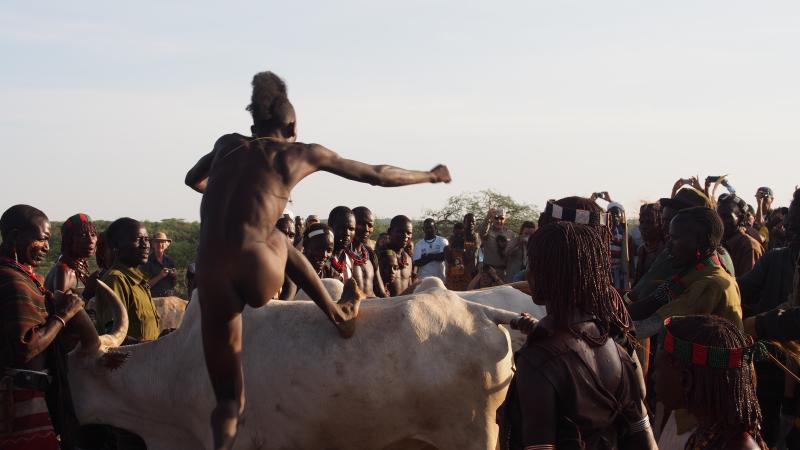 Salto del Toro, Tribu de los Hamer, en Berconech Asile, cerca de Turmi