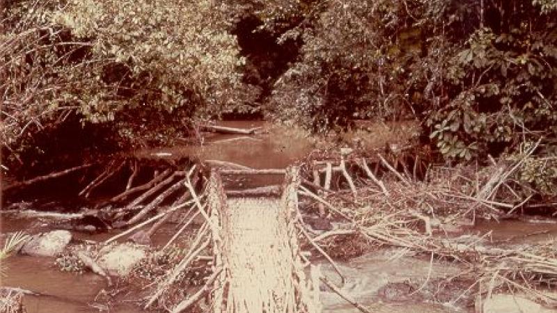 5.1. Anexo nº 15, foto 11. piège pêche rivière olam