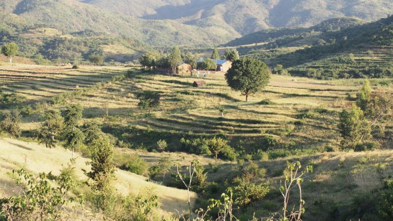Camino a Konso