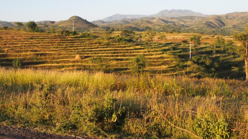 Camino a Konso