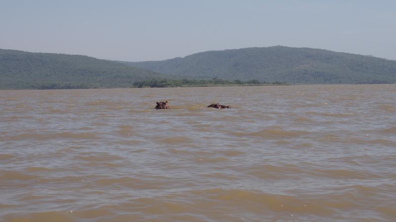 Lago Chamo