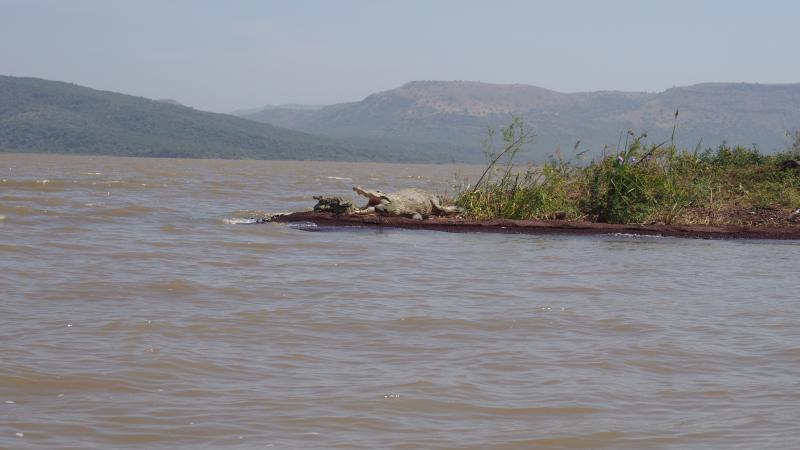 Lago Chamo