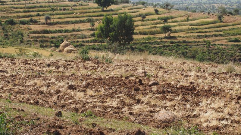 Camino a Turmi, tribu de los Hamer