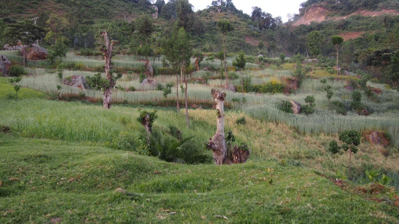 Región de los Dorze, cerca del lago Abaya