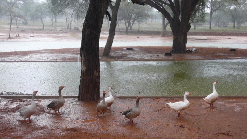 Cantando bajo la lluvia