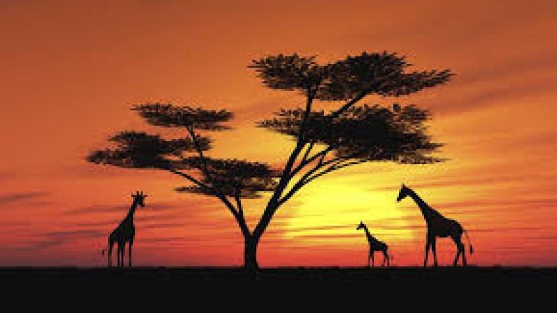 Atardecer en África