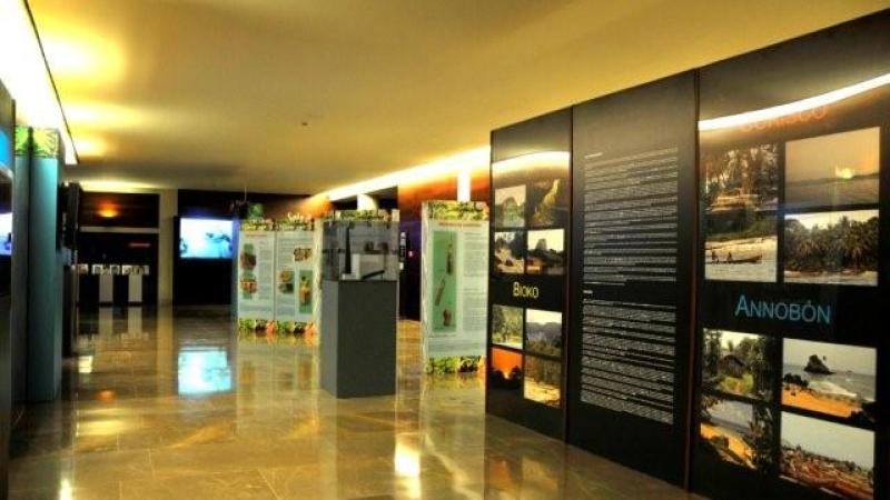Casa África lleva a L’Auditori de Barcelona los instrumentos y las danzas ecuatoguineanas