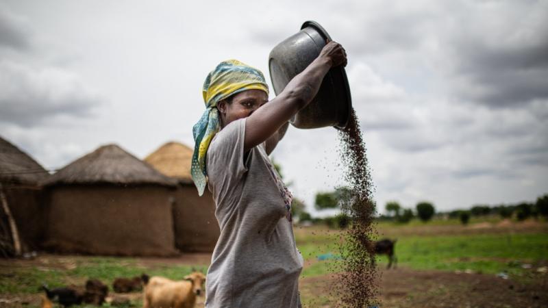 Ganas de comer: Ghana sin hambre