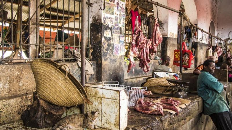 Gato en el mercado de carne