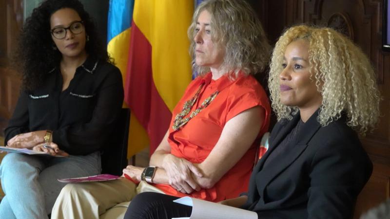 Jornadas sobre Derechos de las Mujeres Migrantes Víctimas de Violencia de Género