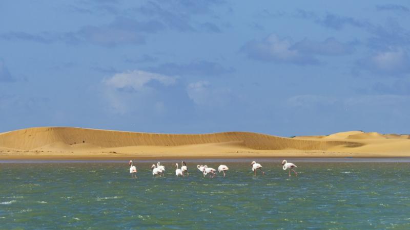 Laguna de naila