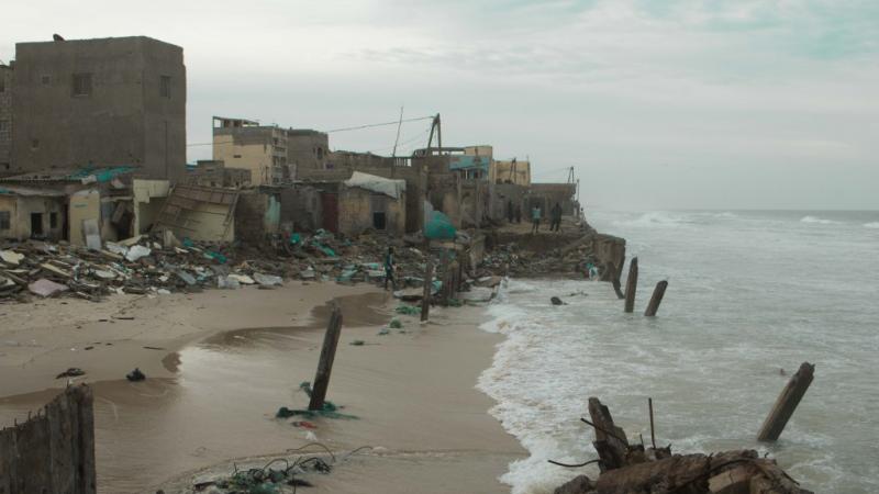 Langue de barbarie fracasse