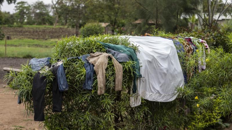 Natural dryer