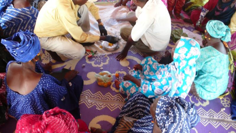 Panafricanistas