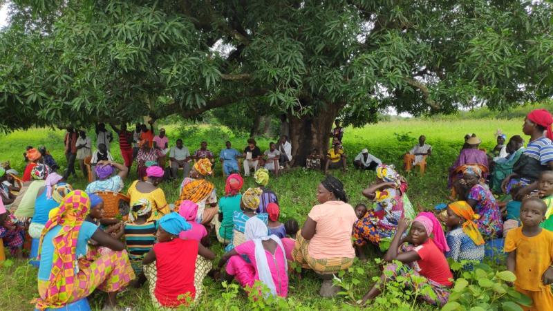 Reunidas en torno al sabio árbol