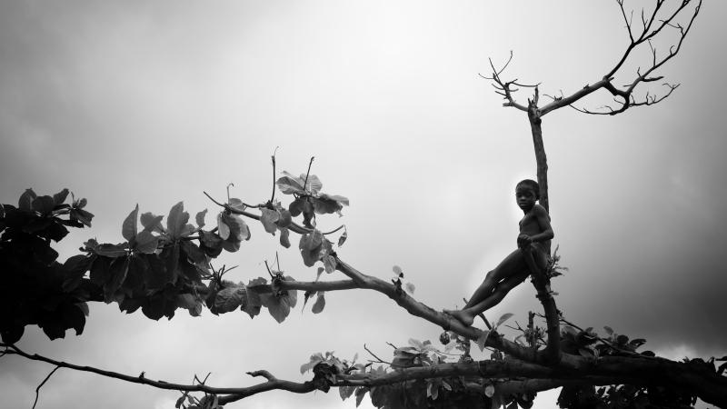 5. Arturo Bibang Árbol de vida, série A Annobon, 2011 © Arturo Bibang -Album Panafricaine-