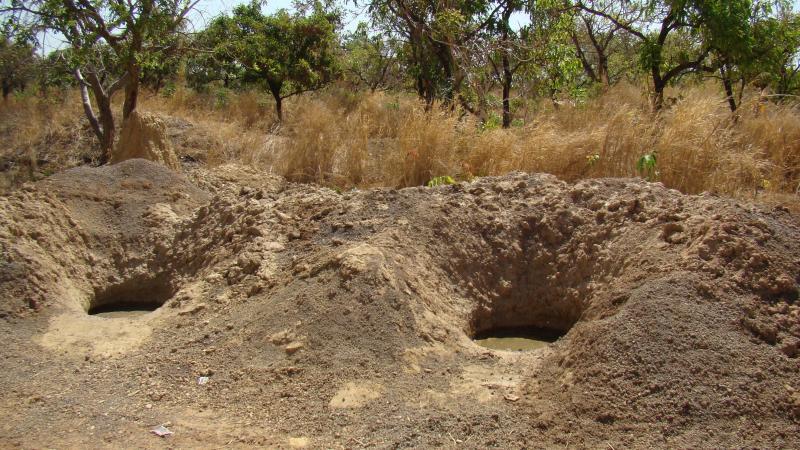7. Drissa Coulibaly, série Notre environnement, 2011 © Drissa Coulibaly -Album Panafricaine-