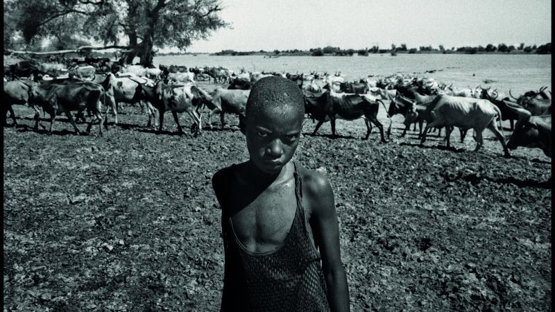 8. Raymond Dakoua, La grande période de la traversée des animaux, série Djoliba et les gens du fleuve, 2009 © Raymond Dakoua -Album Panafricaine-