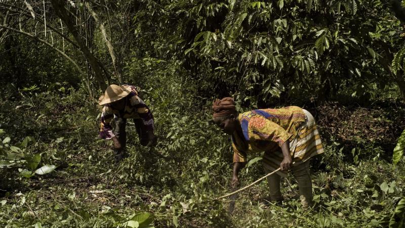 43.	Usos y costumbres, proyecto Soutoura de Ángel Luis Aldai, Casa África