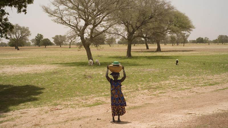 64.	Usos y costumbres, proyecto Soutoura de Ángel Luis Aldai, Casa África