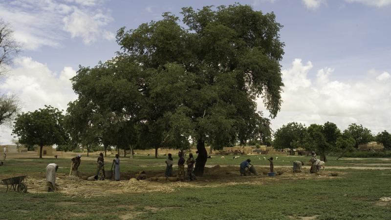90.	Usos y costumbres, proyecto Soutoura de Ángel Luis Aldai, Casa África