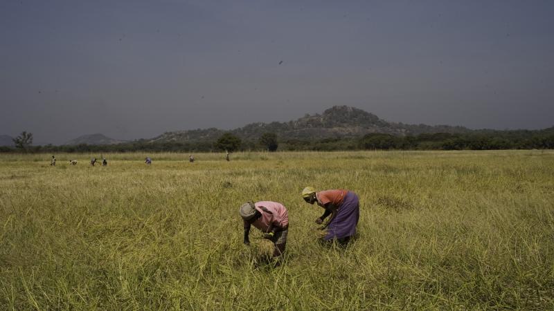 101.	Usos y costumbres, proyecto Soutoura de Ángel Luis Aldai, Casa África