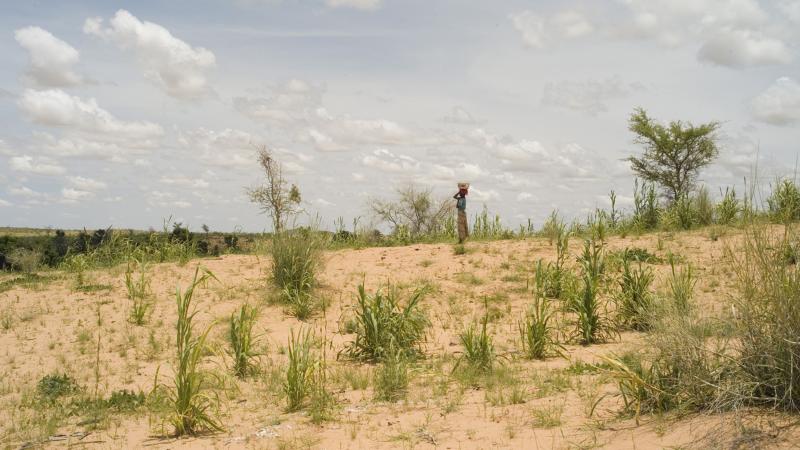 3.	Paisajes, proyecto Soutoura de Ángel Luis Aldai, Casa África