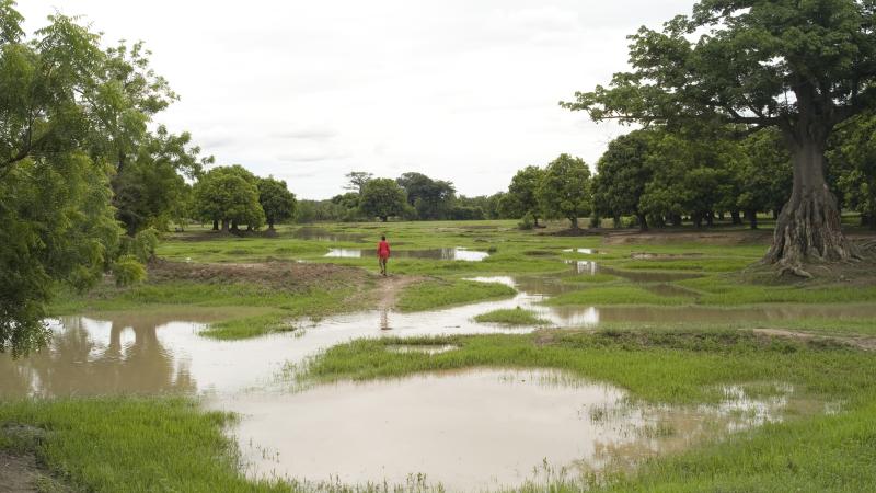 22.	Paisajes, proyecto Soutoura de Ángel Luis Aldai, Casa África