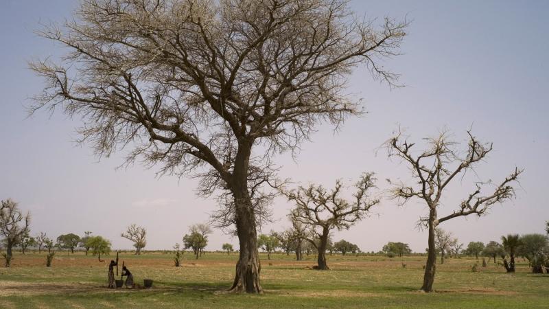 45.	Paisajes, proyecto Soutoura de Ángel Luis Aldai, Casa África